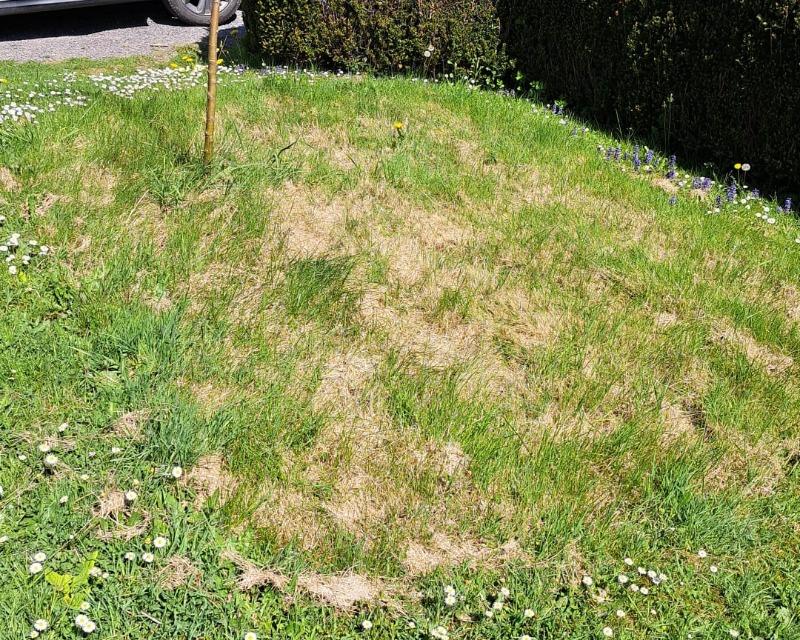 20250430_124228_nat-rn-terrain-292_photo_WhatsApp Image 2025-04-30 at 13.41.52.jpg